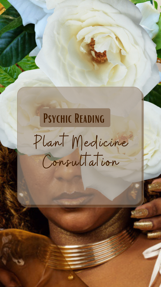 Plant Medicine Consultation